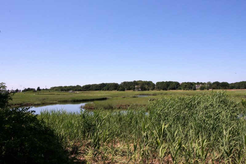 Beach Road Vacations Orleans MA 5 Bedroom 4 Bathroom Cape Cod