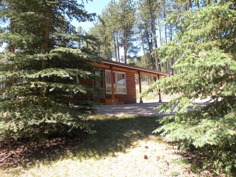 2 Bedroom Cabin In The Heart Of Black Hills Mickelson Trail Mt