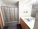 Lower level bathroom