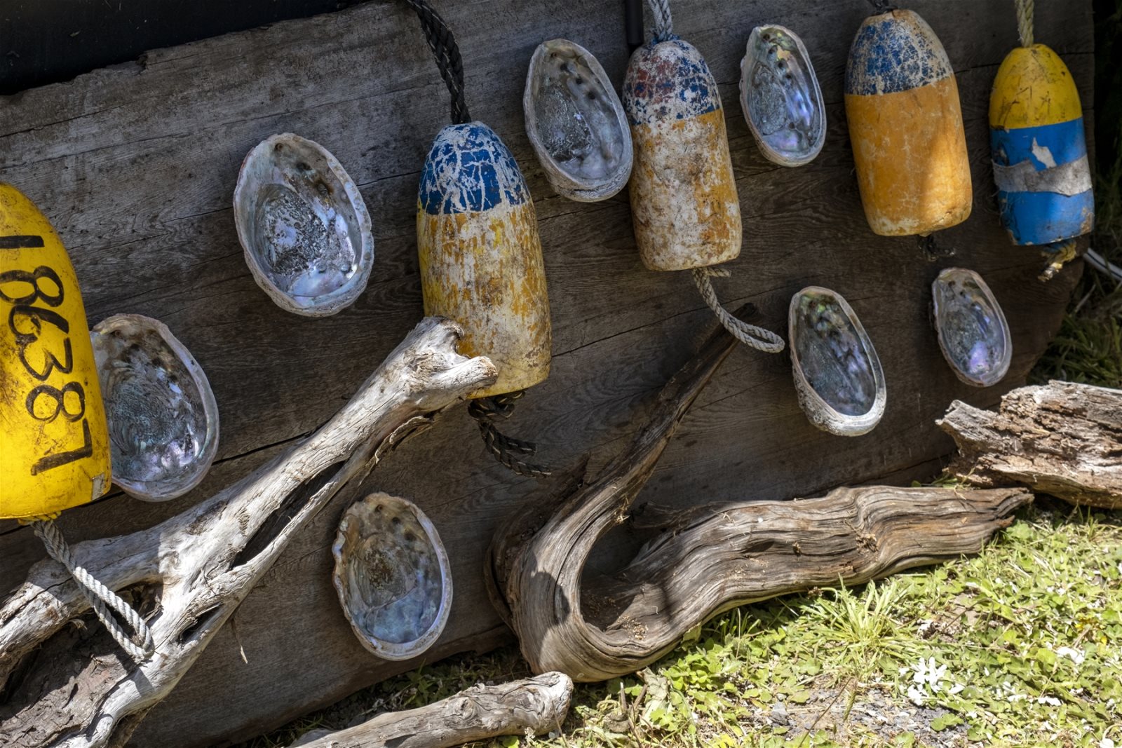 Driftwood Vacation RV Rental Ft. Bragg, CA