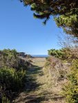 Paseo Del Mar - Welcome home to your Mendocino cottage by the beach