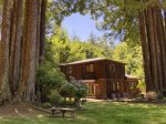 Serenity Grove - The peaceful and serene coastal cabin in the Redwoods