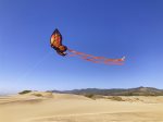 Ocean Dunes Retreat -  Welcome to relaxation