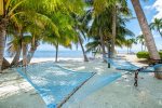 Hammocks in the Palms