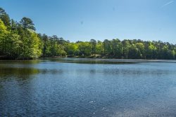 19 LaCanada Way - Spacious Lake Segovia home on one level with garage in Hot Springs Village Golf and Lake Resort