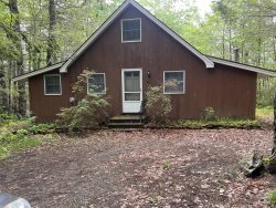 Cabin in the woods/Bristol