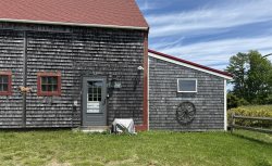A Spot Near the River/Walpole