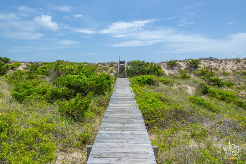 Outer Beaches Realty One 613