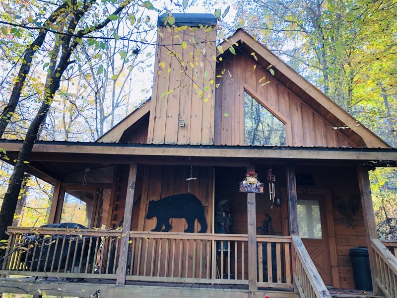 Bear Necessities Located In The North Georgia Mountains And Close