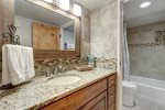 Guest Hallway Bathroom