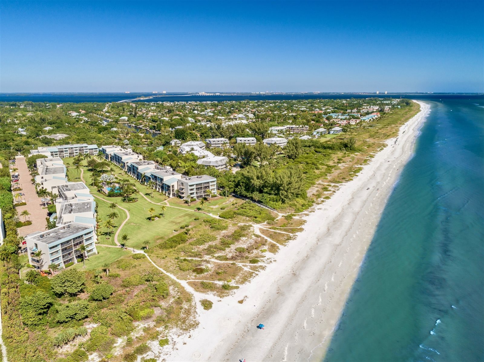 Loggerhead Sanibel Island Florida