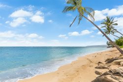 Exquisite Mokuleia Beachside Cottage