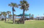 Shaded picnic tables available.