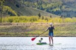 Who said dogs can`t paddleboard