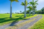 A palm lined driveway to the house to start your vacation.