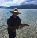Yes you can catch Rainbow trout or small mouth bass right here.