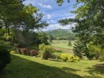 view from the back porch of golf course
