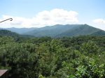 View of the Blue Ridge Parkway 