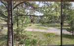 Picturesque views from the family living room - deer, elk keep safe distance especially if baby elk nearby, bobcat, and various bird viewing.