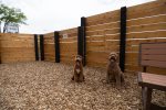 The Camp RV Park Bend Oregon Dog Area