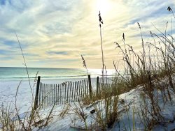 Beachfront, Reef Intermission 4P
