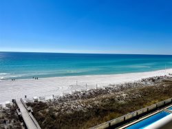 WOW! Dolphin Delight! Spectacular Waters Edge Penthouse 616! Direct BEACH FRONT!