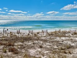 Beachfront, Surf Buggy 210
