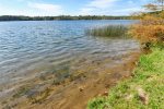 Bony lake Shore