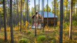 Surrounded by forest and wildlife