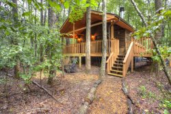  PREMIER CABIN!!!! Serenity A one level getaway with everything you need on a small creek. Fire Pit. HOT TUB 