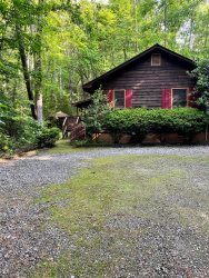 Creekside Cabin- This cozy creekside cabin sits at the end of the road on a beautiful large wooded acre