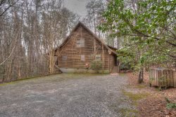 Forest Haven- Perfect Warm Cabin with 30 foot back porch.