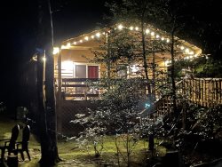 Shady Brook- One level cozy cabin nestled on a small creek with hot tub!