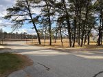 Marsh view from front yard