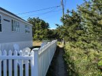 Path to boardwalk