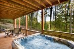 HOT TUB w/WINTER SEASONAL MOUNTAIN VIEWS