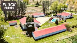 County Estate With Pool, Movie Barn, Dog Run, 20 Acres & More!