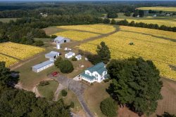 Farm House Getaway w/ 160+ Acres!