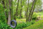 A tire swing to play on during picnics