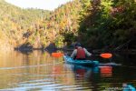 Nearby Little Pigeon River- Fishing and Tubing and Kayaking are Recommended 
