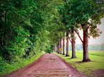 Every season our hidden country road shares her beauty with us.  It is always lovely to arrive in any season&59&59&59&59&59&59&59&59&59&59&59&59&59&59&59&59&59&59&59&59&59&59&59&59&59&59&59&59&59&59&59&59&59&59&59&59&59&59&59; spring, summer, fall or win