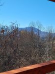 View from the deck