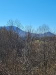 view from the deck