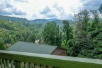 Deck View