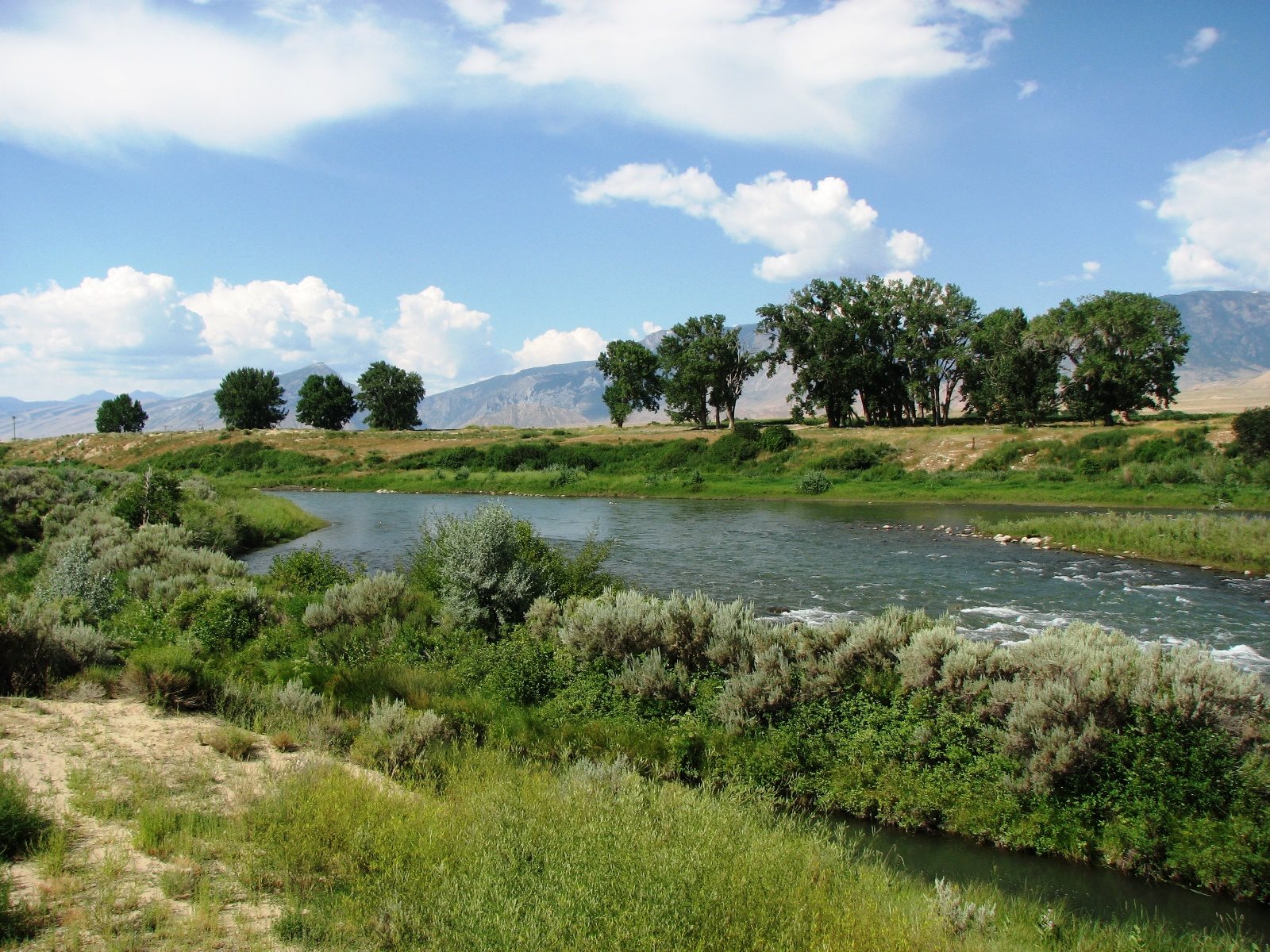 Clark`s Fork of the Yellowstone River